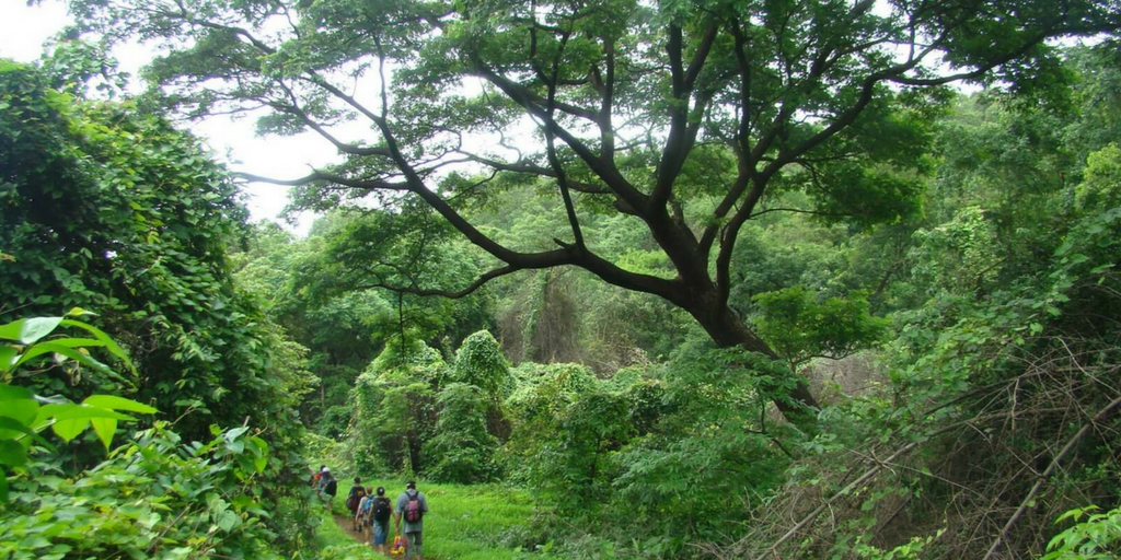 Places to Visit around Mumbai-Sanjay Gandhi NationalPark