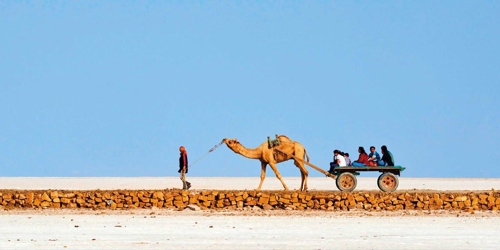 Places to visit in January in India - Rann of kutch