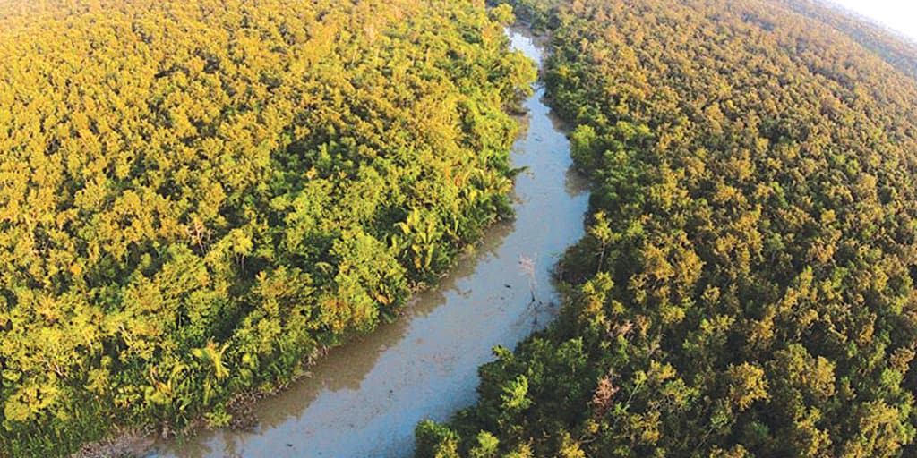 places to visit in January in India - Sundarbans
