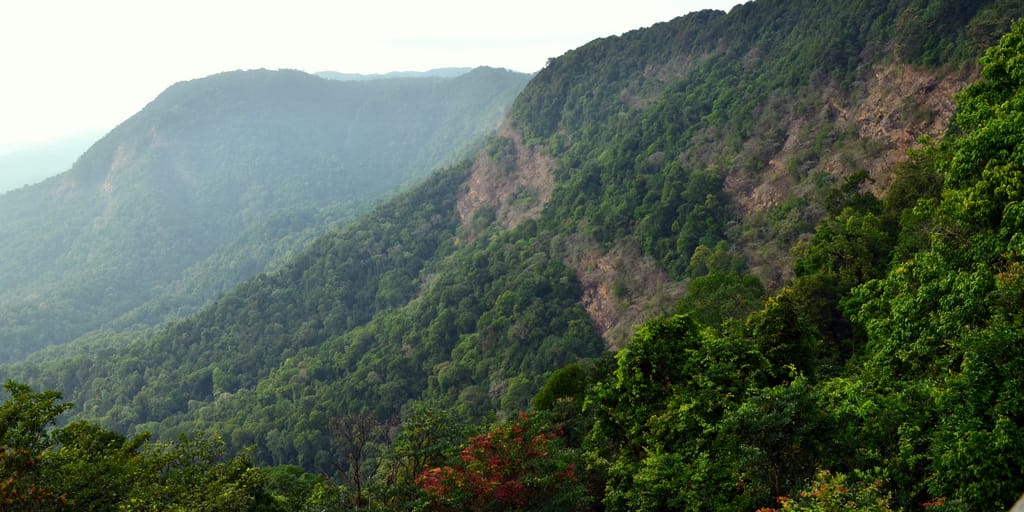 Agumbe