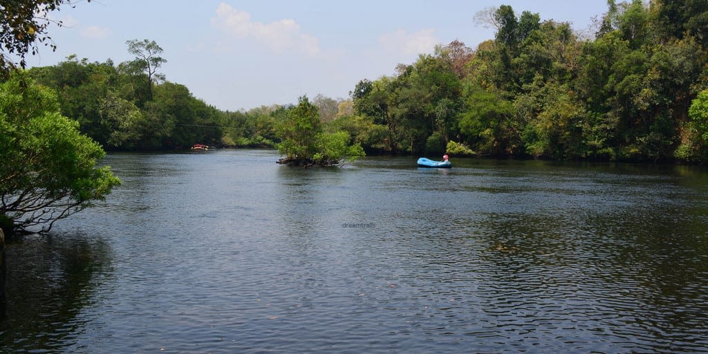 Dandeli