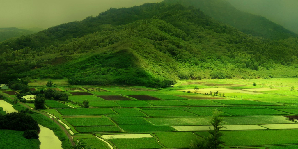 hill stations near Bangalore - Coorg