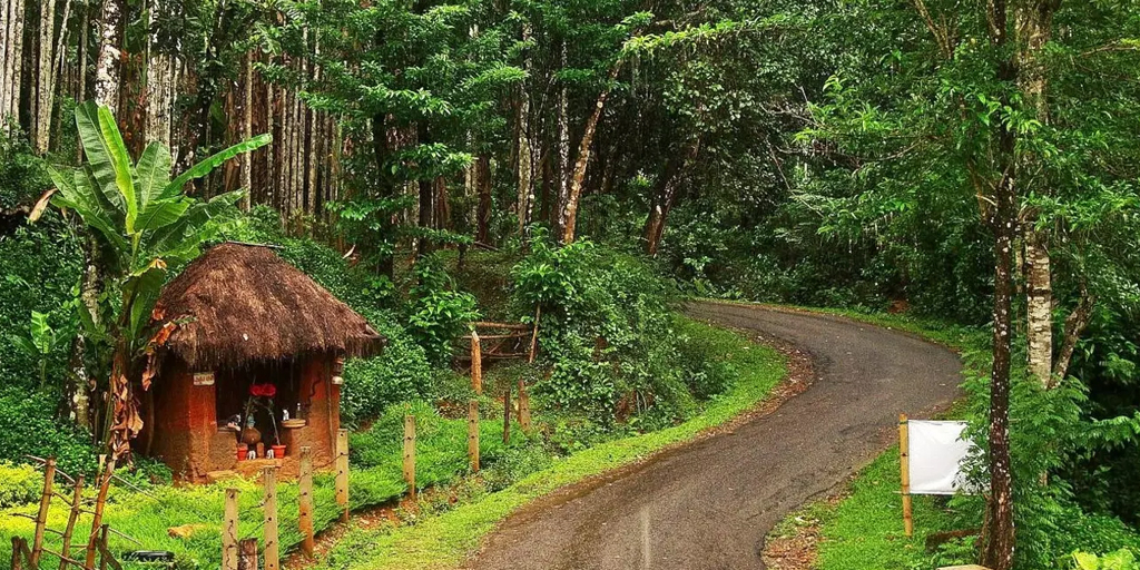 hill stations near Bangalore - Agumbe