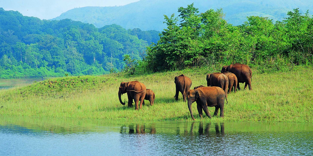 weekend getaways fro Ahmedabad - Wild Ass-Sanctuary