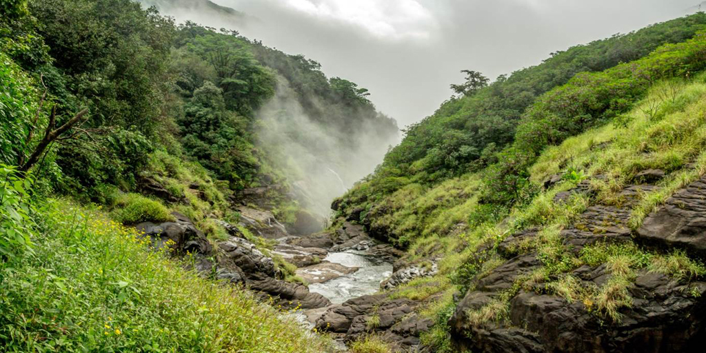 Trekking near Mumbai - Andharban-Trek