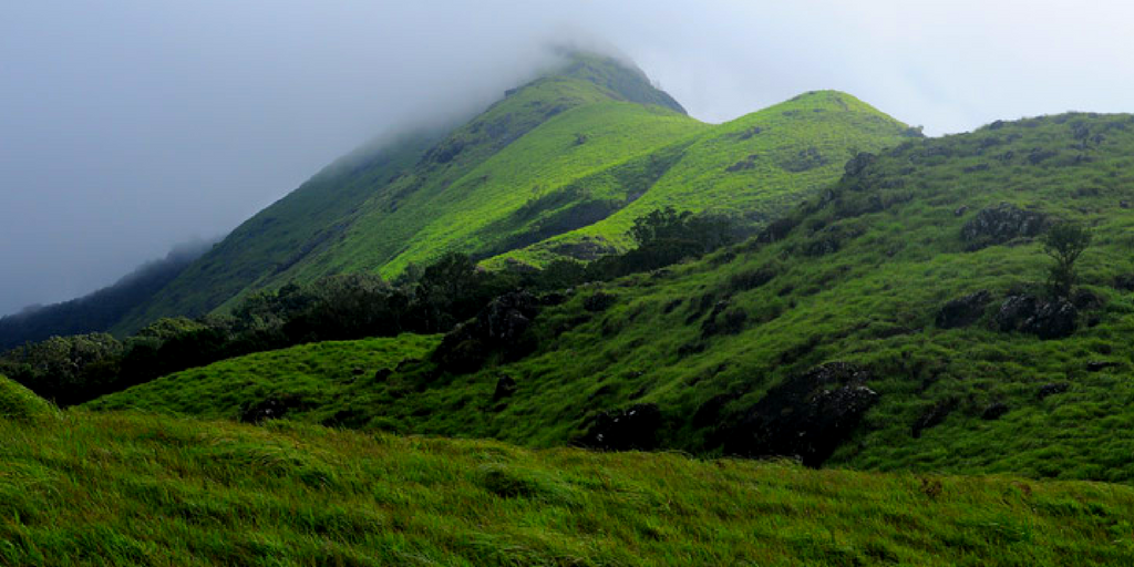 Things to do in Wayanad - Chembra Peak Trekking