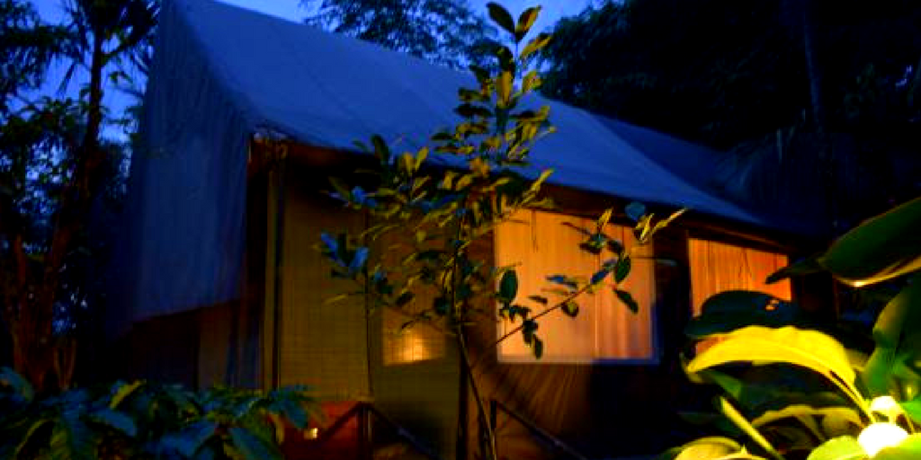 Things to do in Wayanad - Grassroots Stay