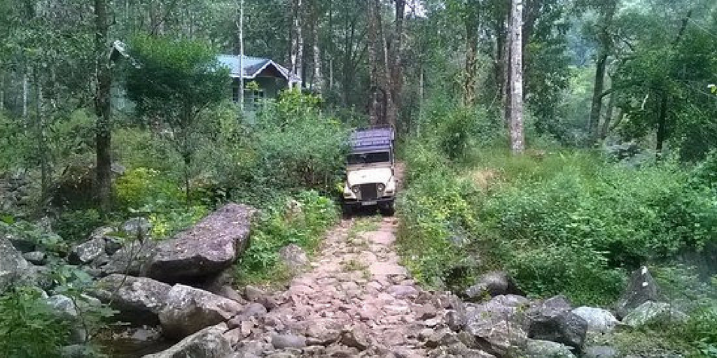 Things to do in Wayanad - lantern stay