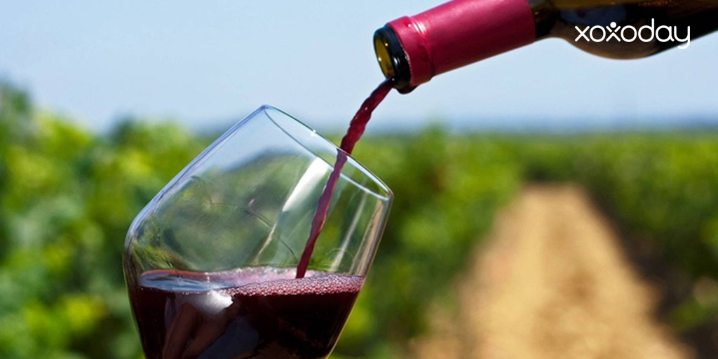 Nandi Valley Winery wine tour in Bangalore