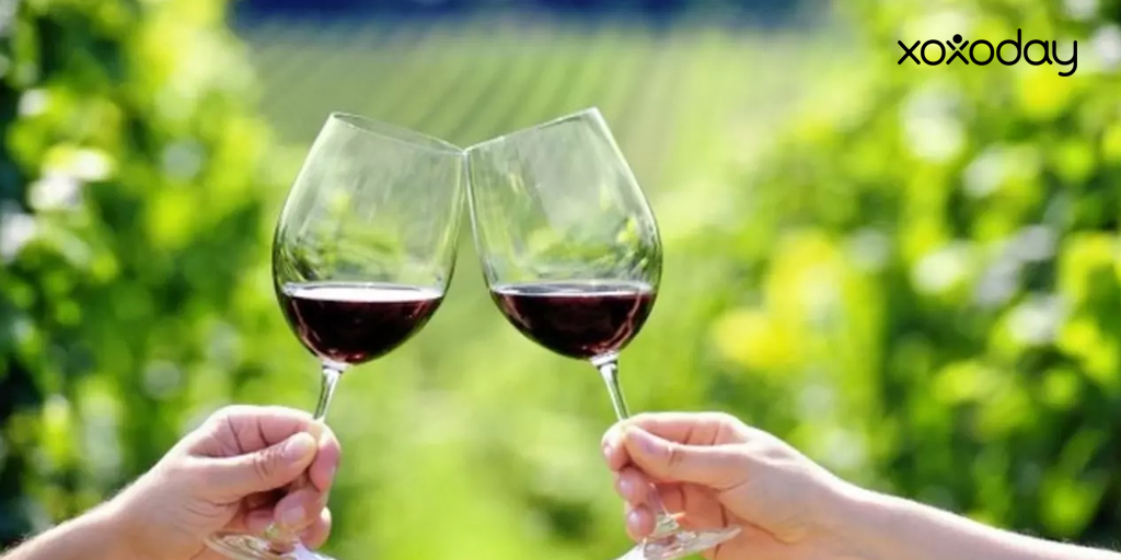 Grover Vineyard wine tour in Bangalore