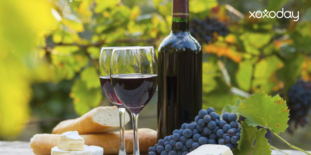 Wine Education, Appreciation And Tasting wine tour in Bangalore