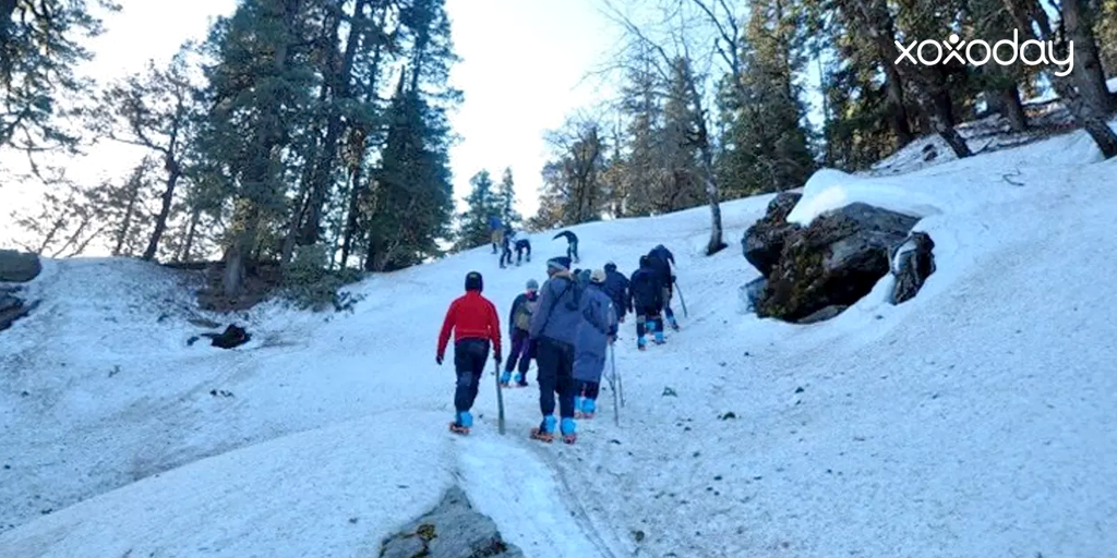 Himalayan trekking-Kedarkantha