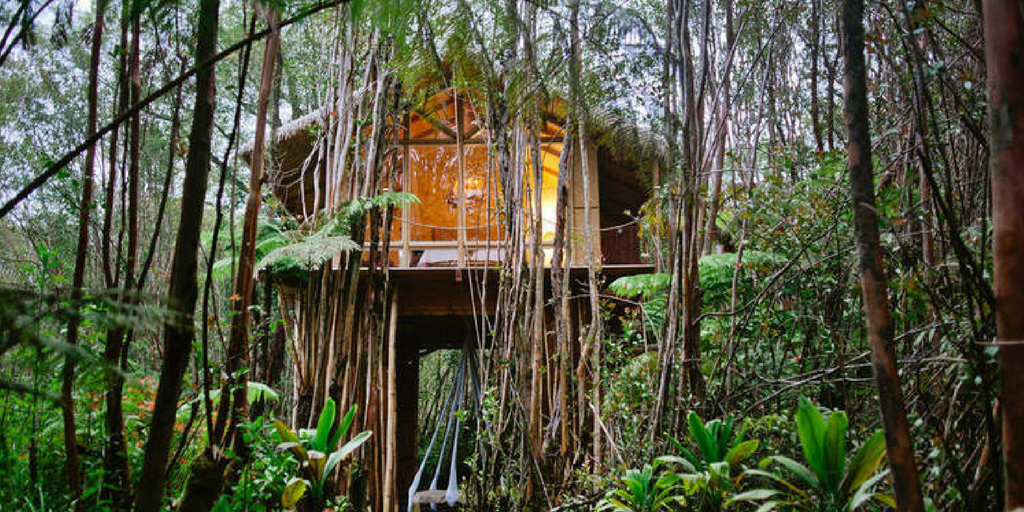 Treehouse homestays