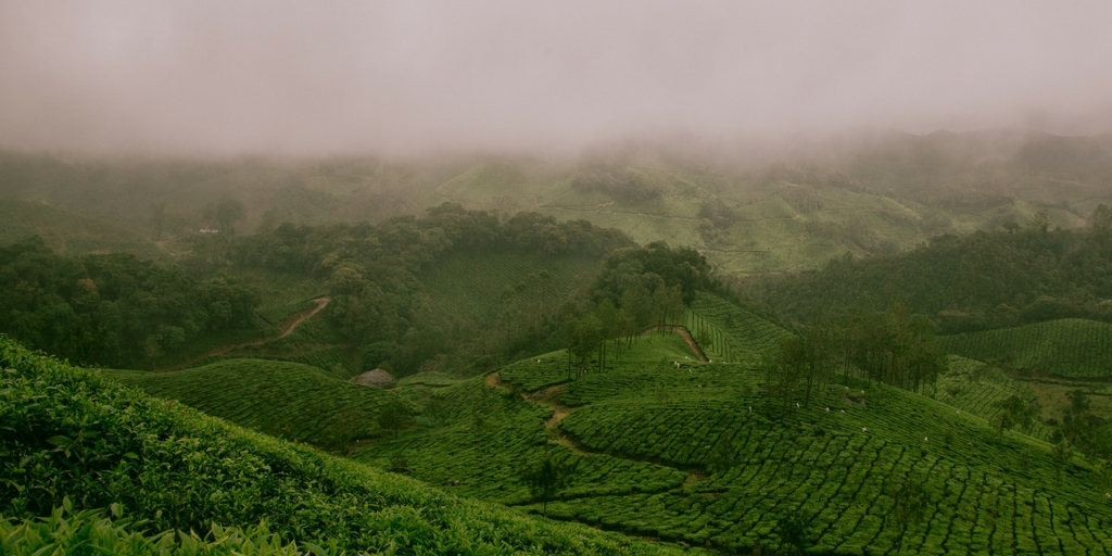 weekend getaways from Bangalore - sakleshpur