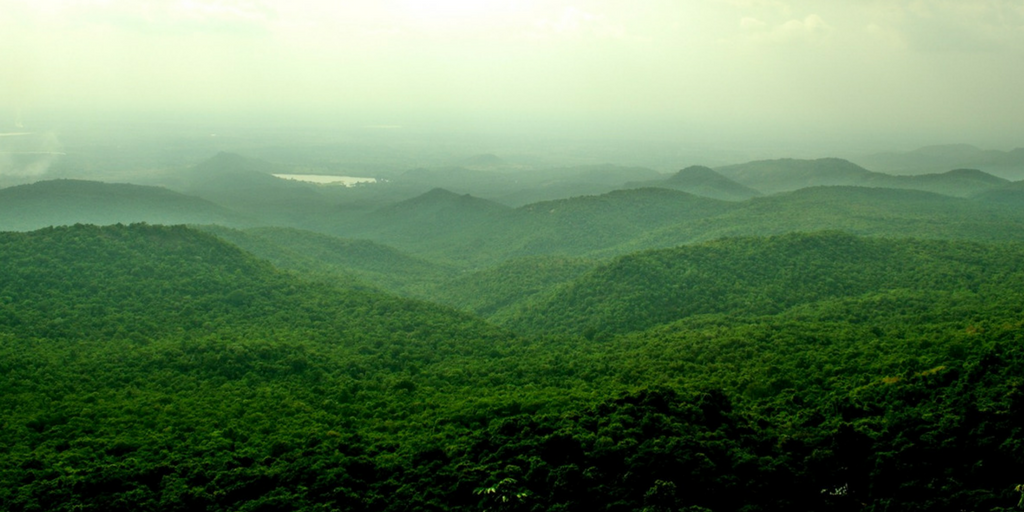 weekend getaways from Bangalore - br hills