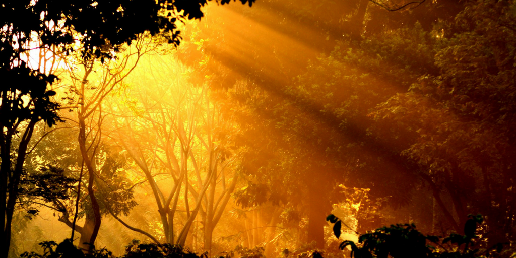 weekend getaways from Bangalore - sakleshpur