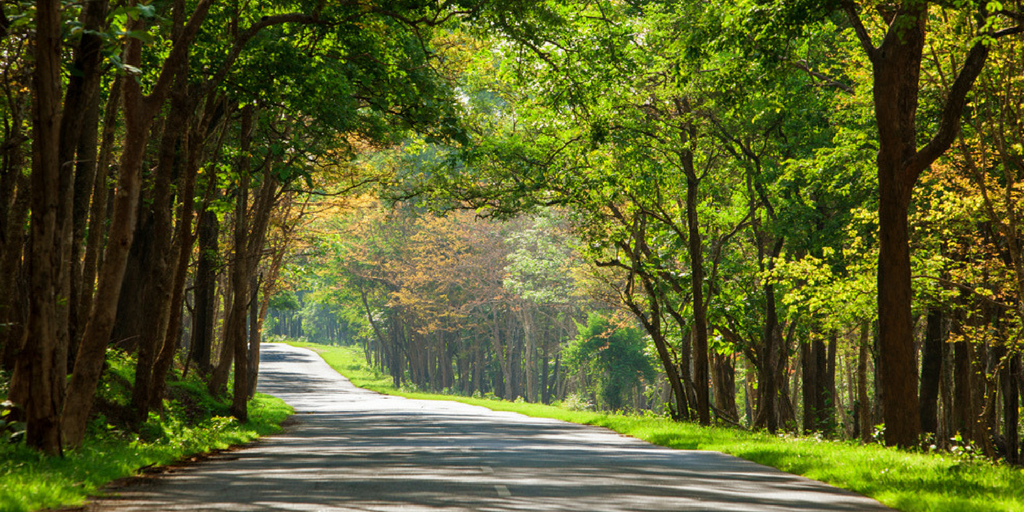 weekend getaways from Bangalore - nagarhole