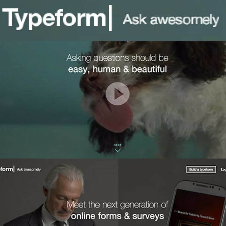 Typeform Online Survey