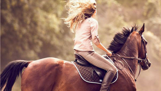 Horse Riding: Things to do in Delhi