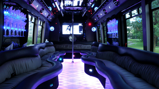 Limousine ride: Things to do in Delhi