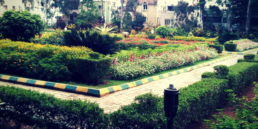 Authentic Experiences in Bangalore - Basavangudi Darshan