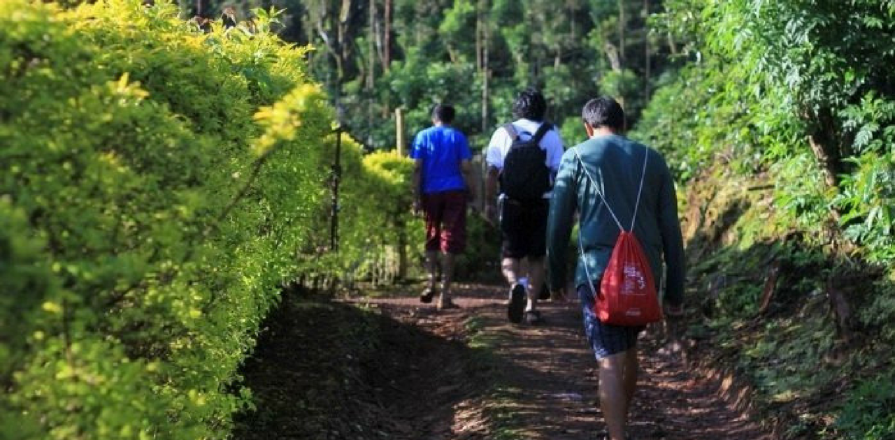 Trekking- Things to do in Bangalore