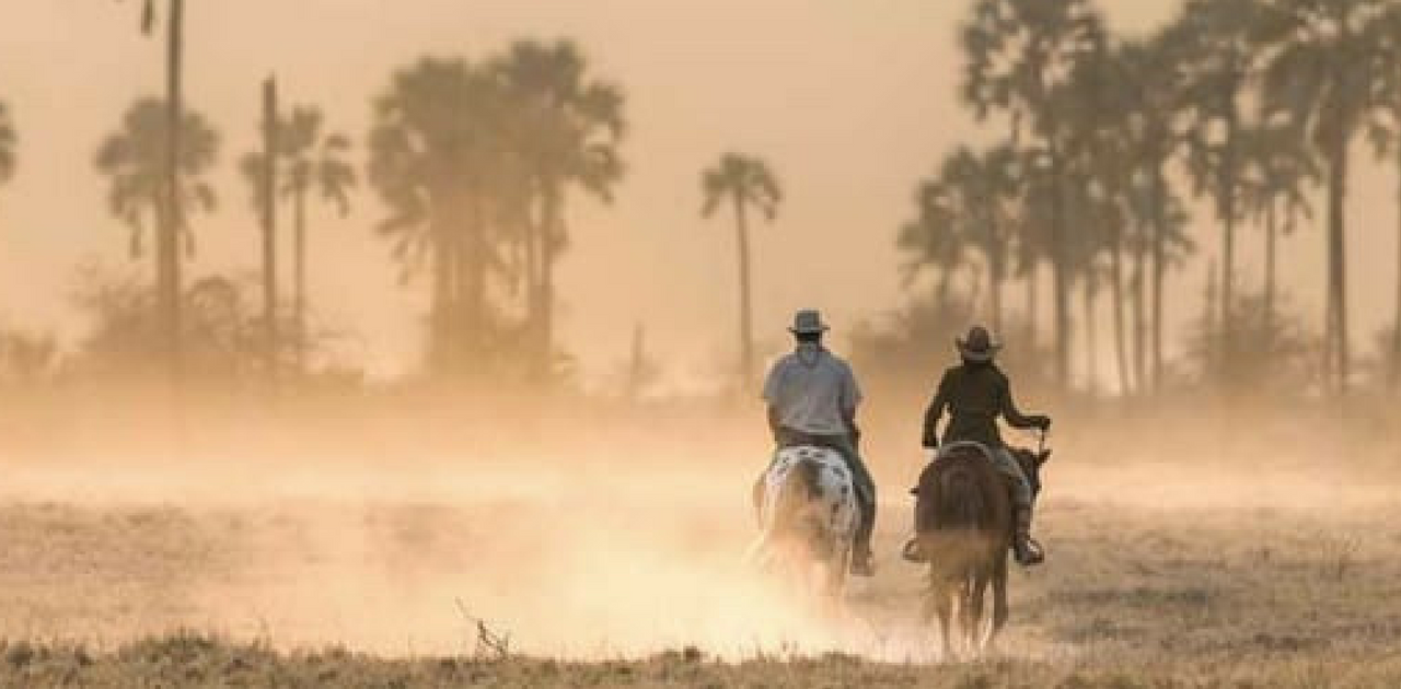 Horse Riding- Things to do in Bangalore