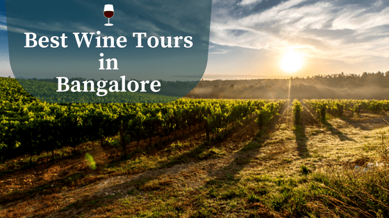Things to do in Bangalore - Wine Tours in Bangalore