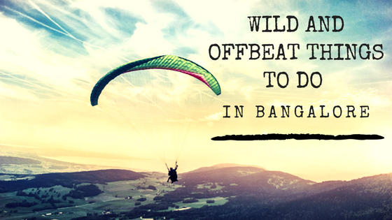 best things to do in Bangalore - wild and offbeat things to do in Bangalore