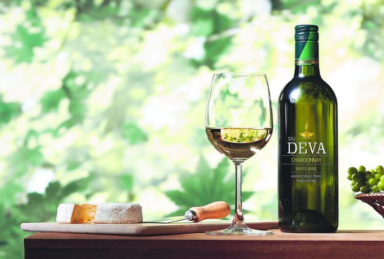 Vineyard Day Out
