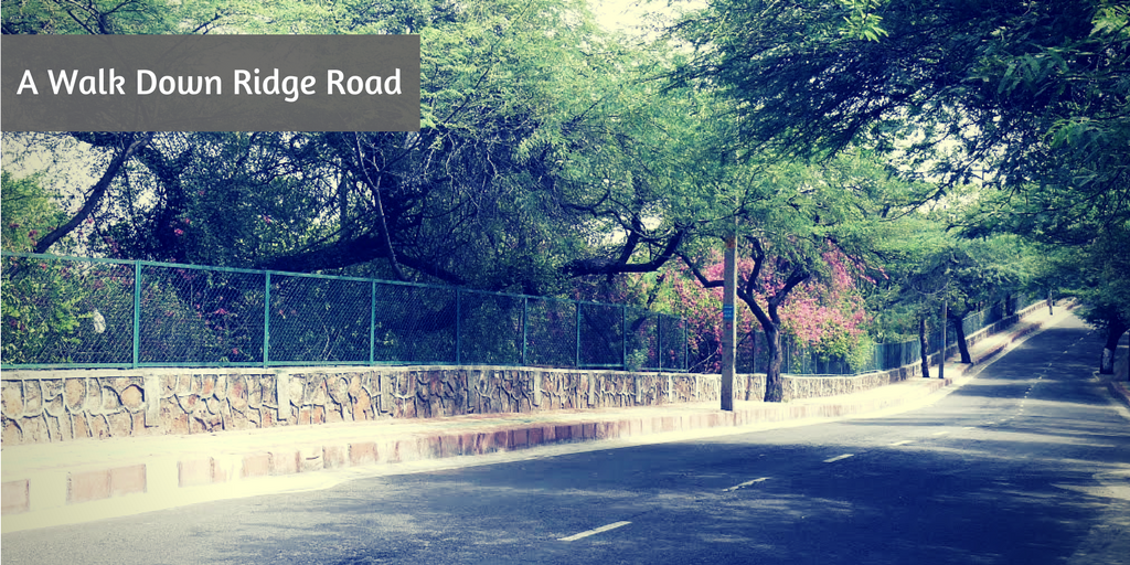 10 romantic things to do on Valentine's Day in Delhi ridge road