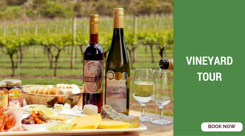 romantic things to do in bangalore vineyard tour