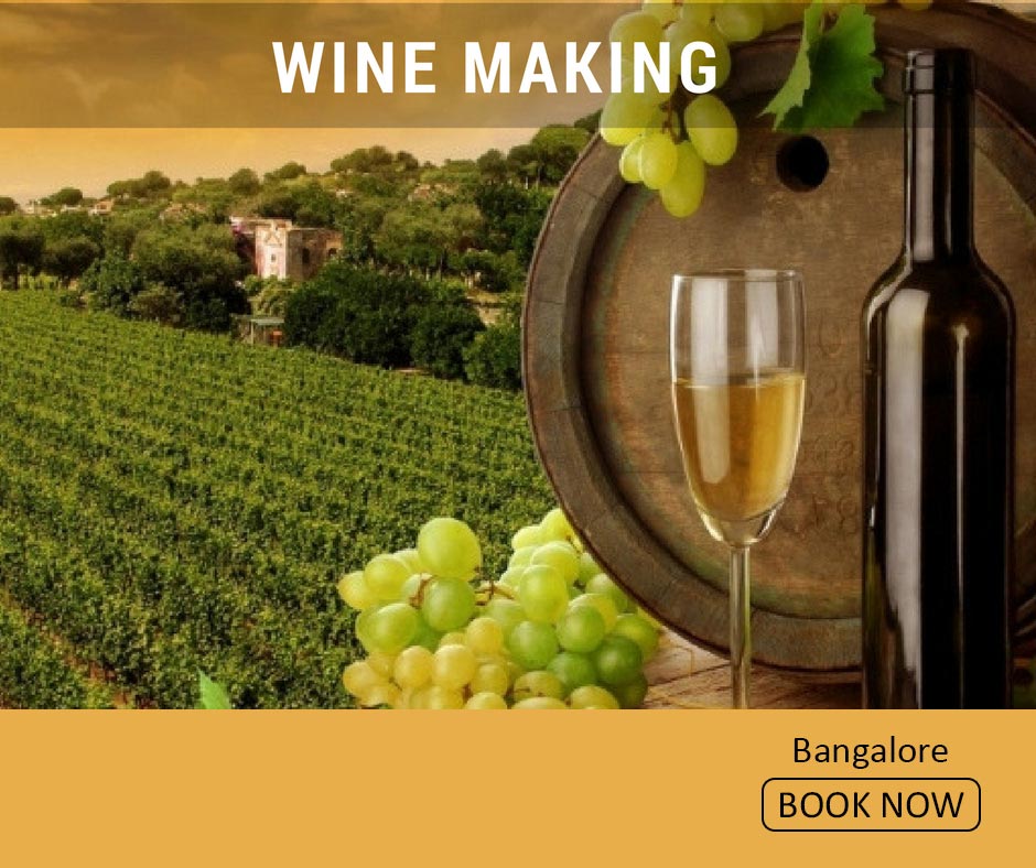 fun things to do in bangalore wine making