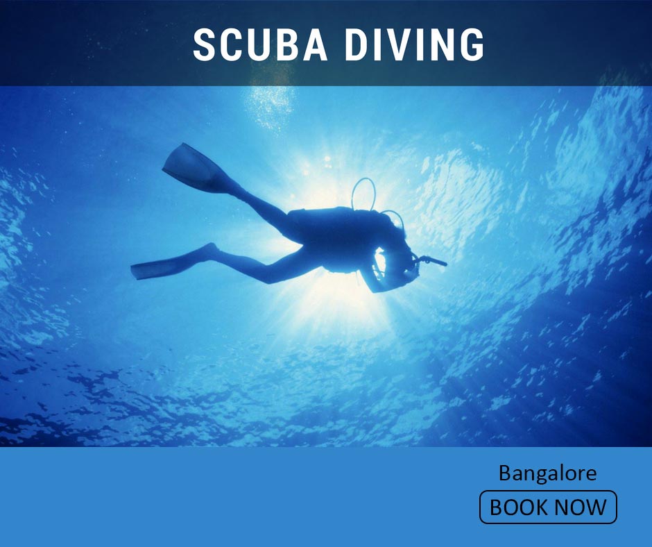 fun things to do in bangalore scuba diving