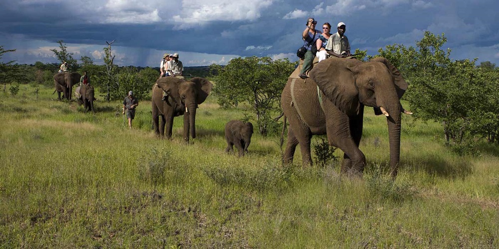 A ride through the wild!