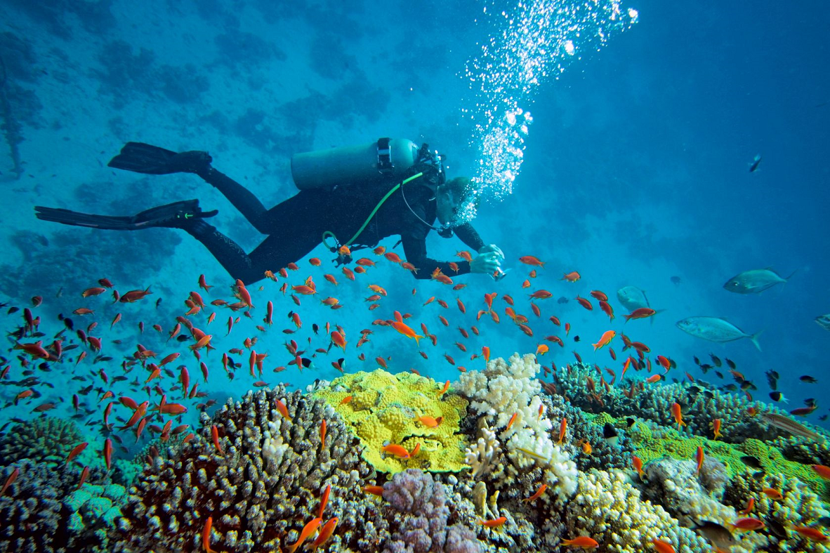 fun activities and experiences