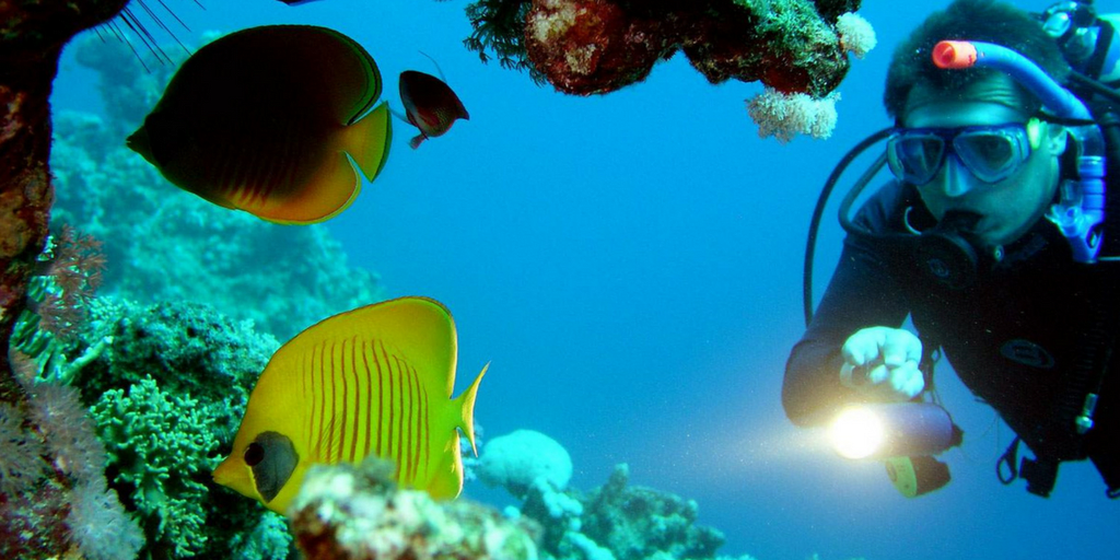 9 Best Water sports in Goa That You Must Give A Try-scuba Diving