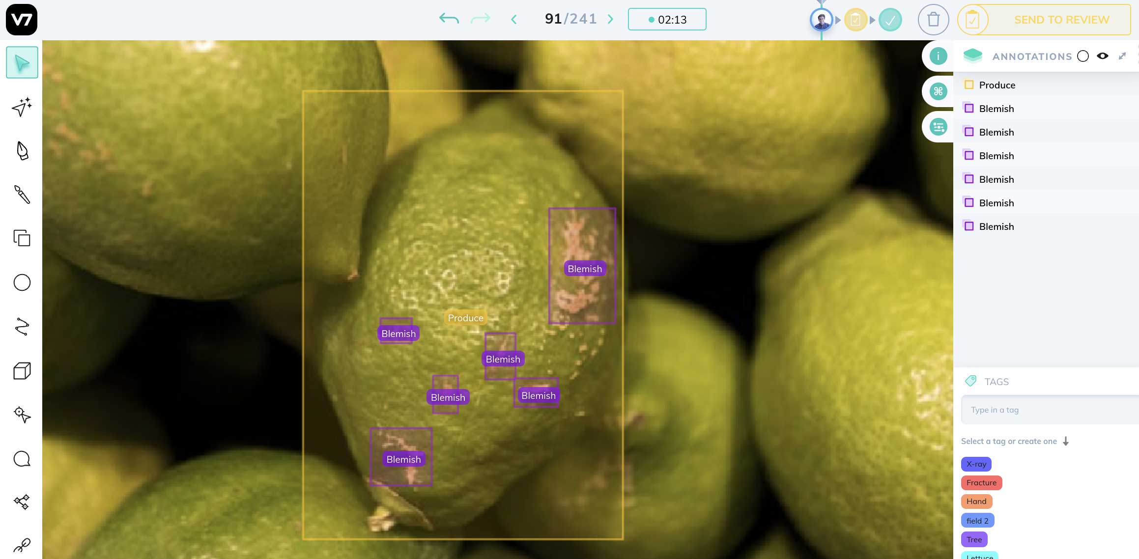 defect inspection AI demo on fruit