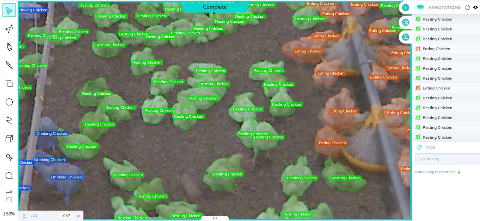 Drinking, eating, and resting chickens annotated using V7's auto-annotate tool