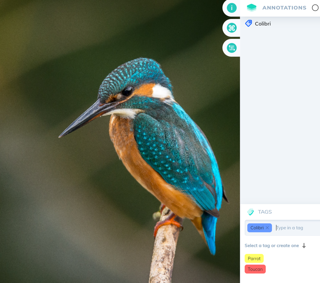 Image Classification in Machine Learning [Intro + Tutorial]