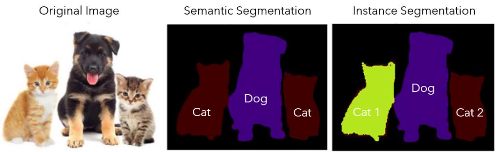 Semantic segmentation and Instance segmentation on cats and a dog.