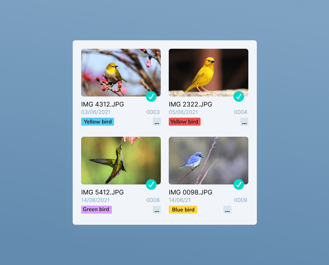 Image Classification in Machine Learning [Intro + Tutorial]