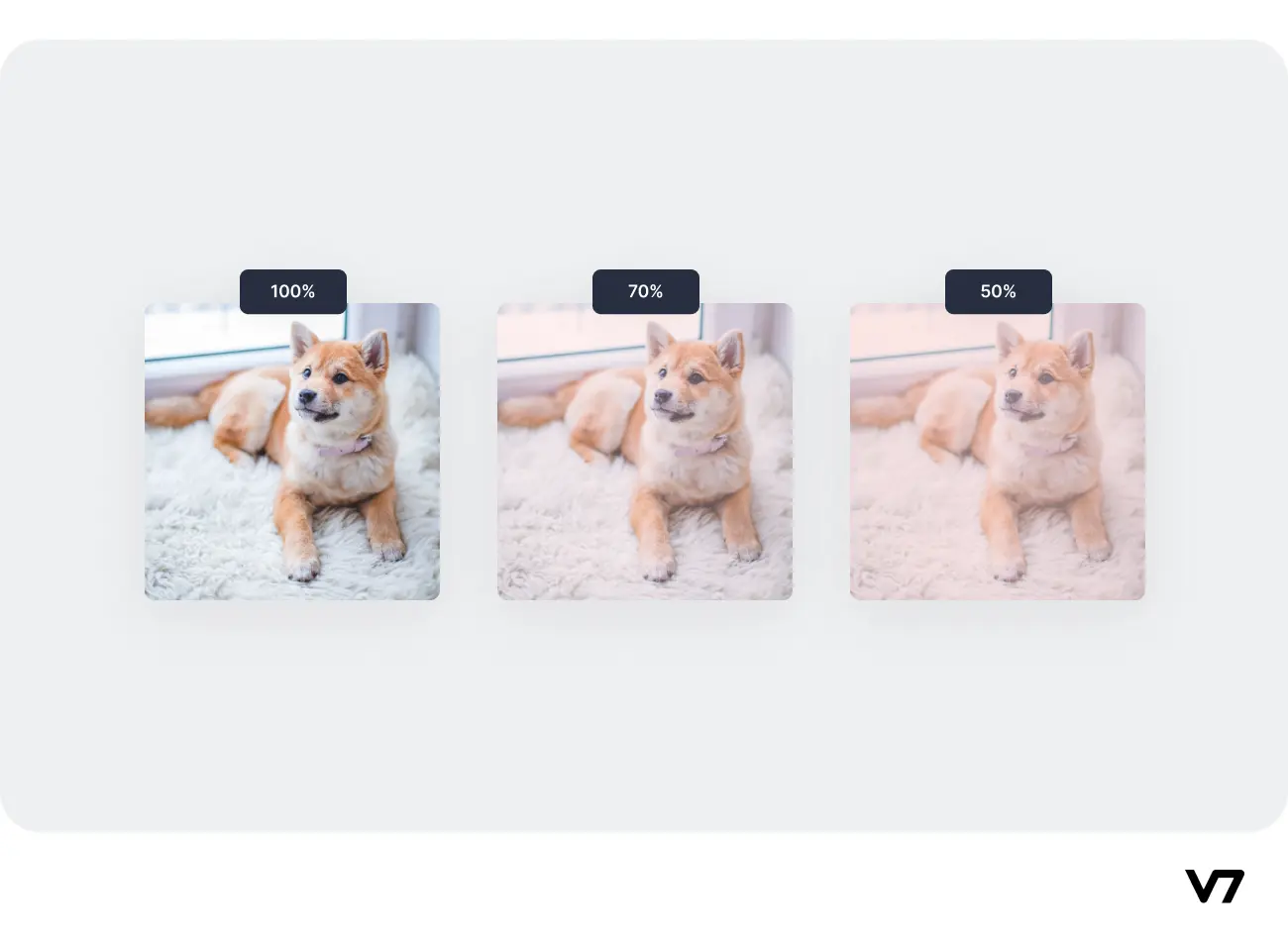 Image Processing: Techniques, Types, & Applications [2023]