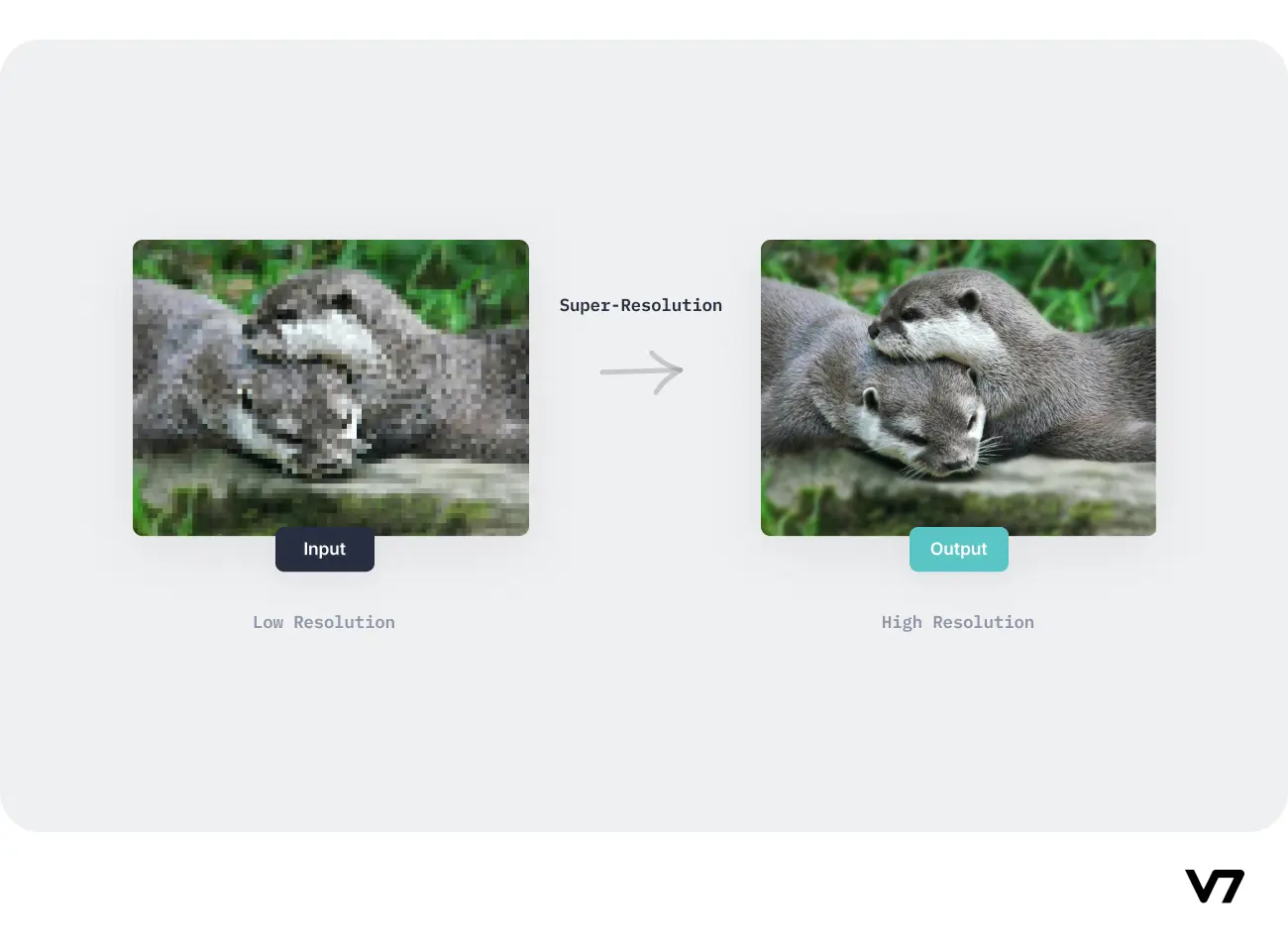 case study on image processing