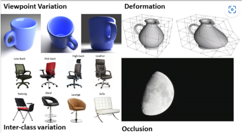 depiction of data collection challenges: viewpoint variation, deformation, inter-class variation, occlusion