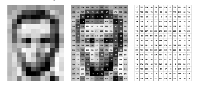 Image Recognition: Definition, Algorithms & Uses
