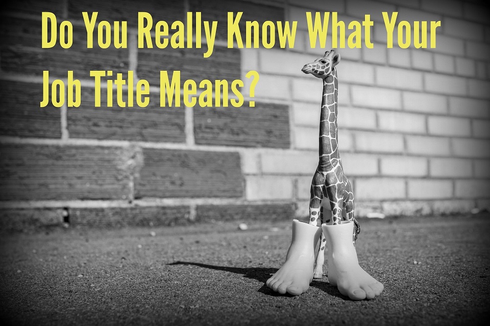 Do You Really Know What Your Job Title Means?