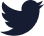 twitter-icon