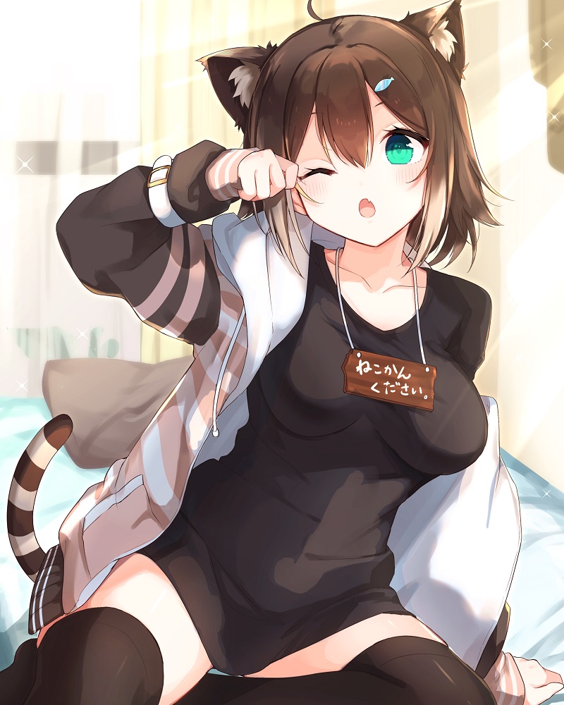 Who is Fumino Tamaki? @nekokan_chu, explained