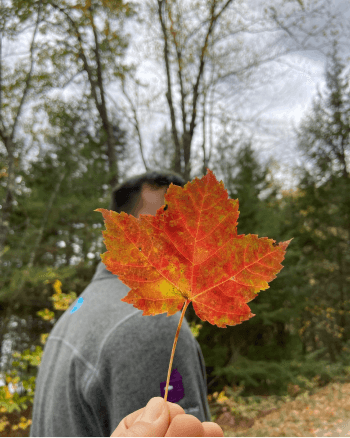 A fall colored leaf found by Nathan while hiking on their day off.